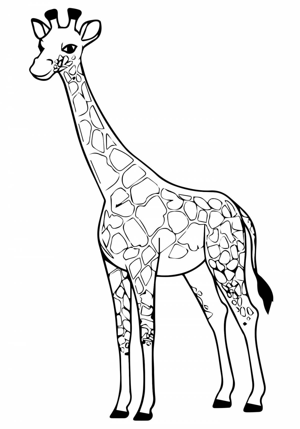 Charming giraffe coloring book