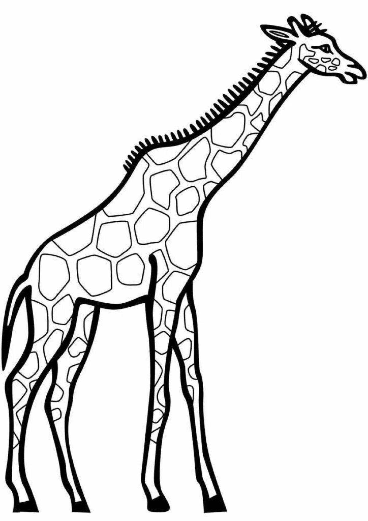 Vibrant giraffe coloring