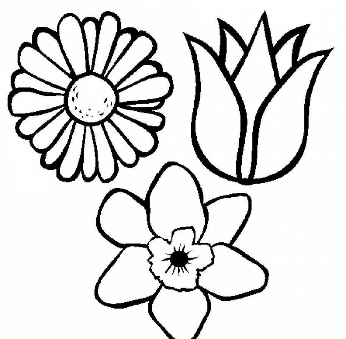 Adorable coloring flowers drawing