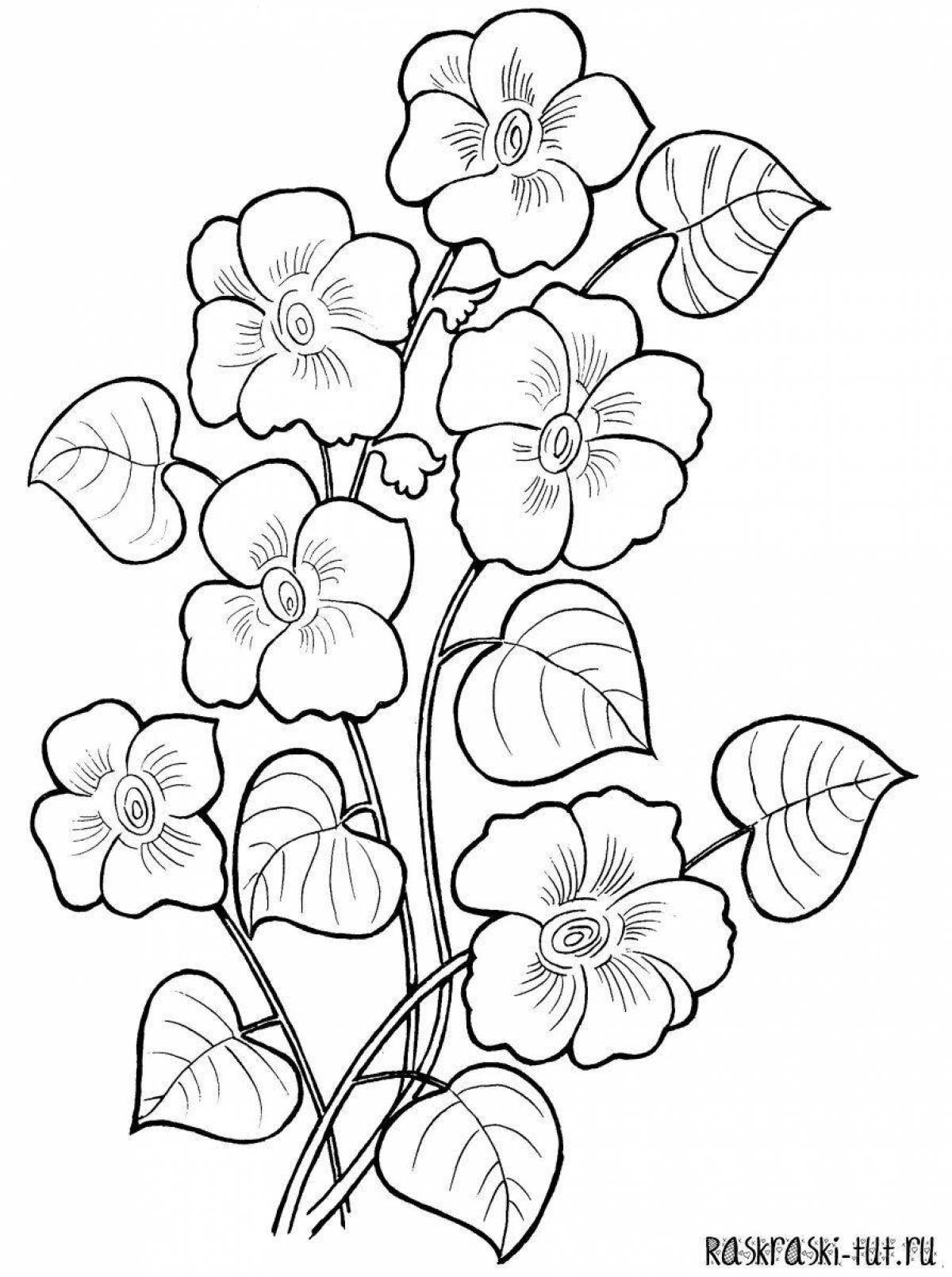 Blissful coloring flowers drawing