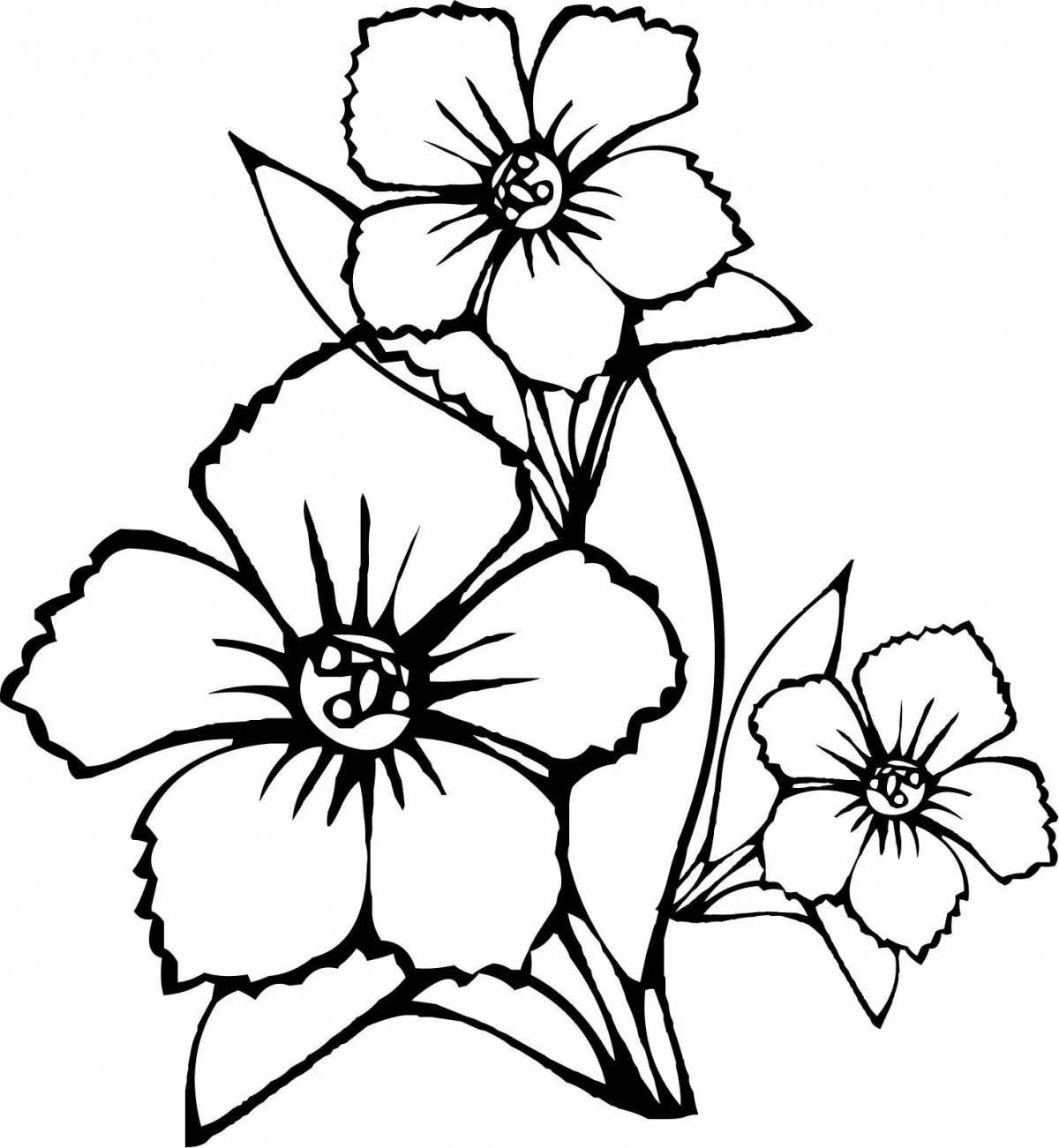 Majestic coloring flowers drawing