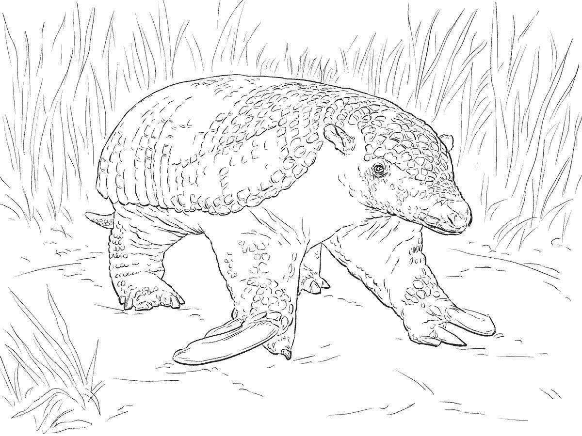 Coloring pages with realistic animals