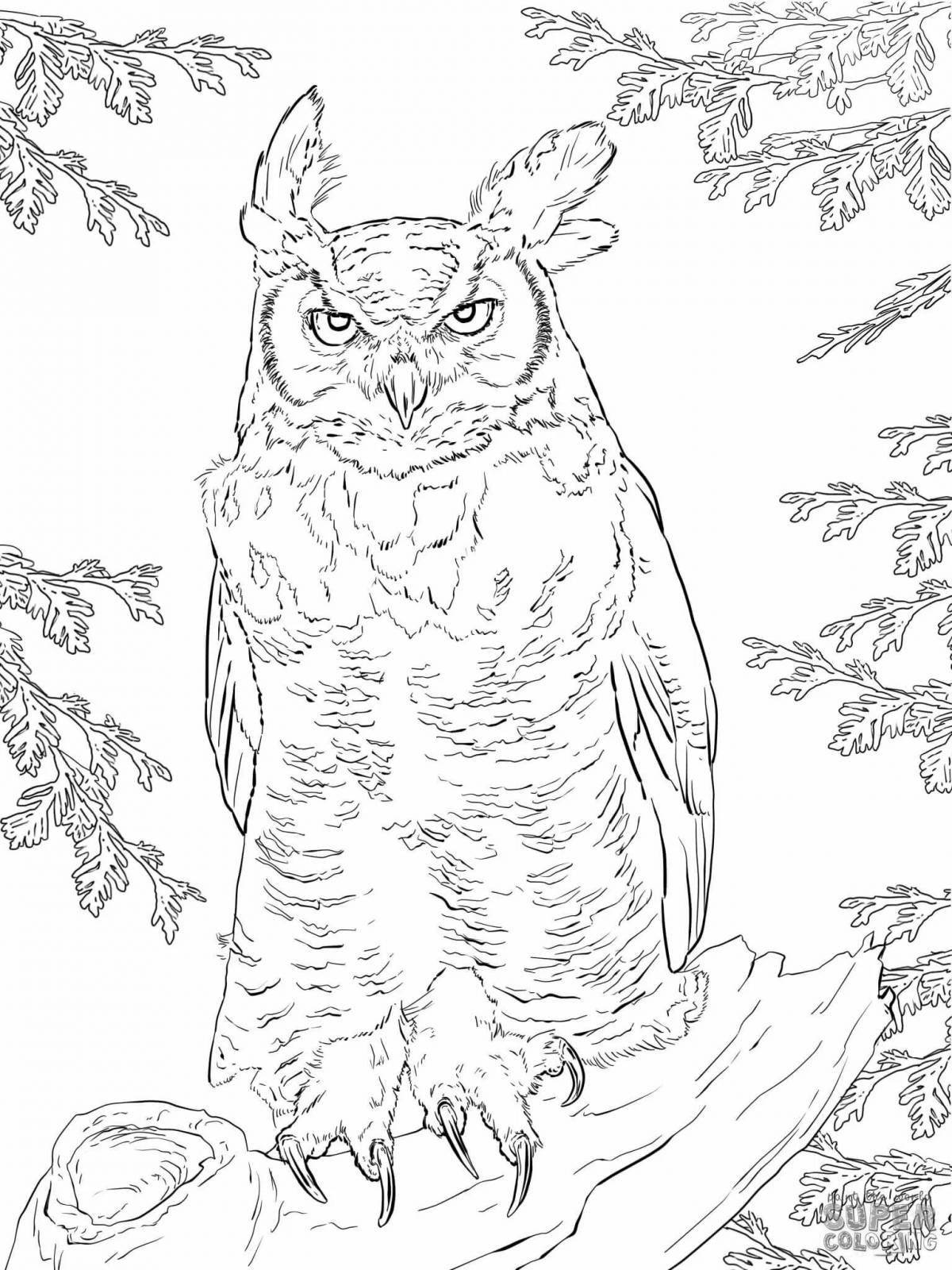 Awesome coloring pages with realistic animals