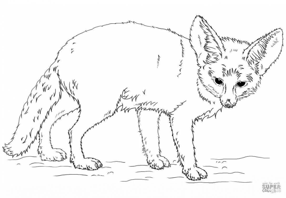 Amazing coloring pages with realistic animals
