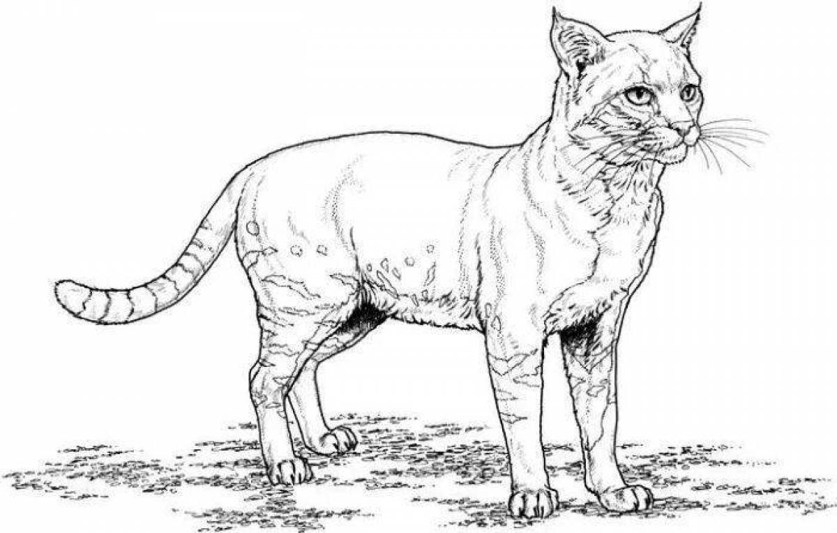 Exotic animal coloring pages realistic