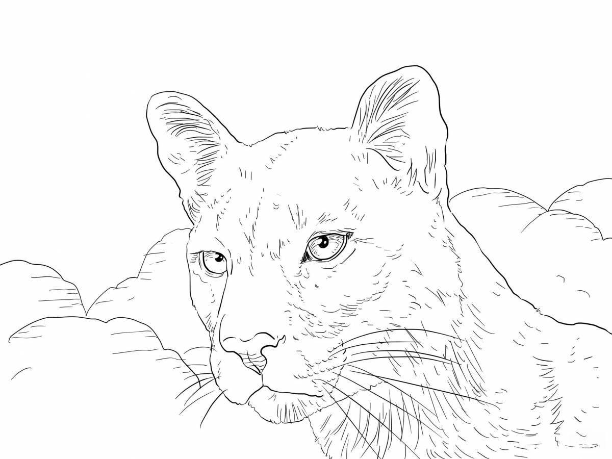 Exalted animal realistic coloring pages