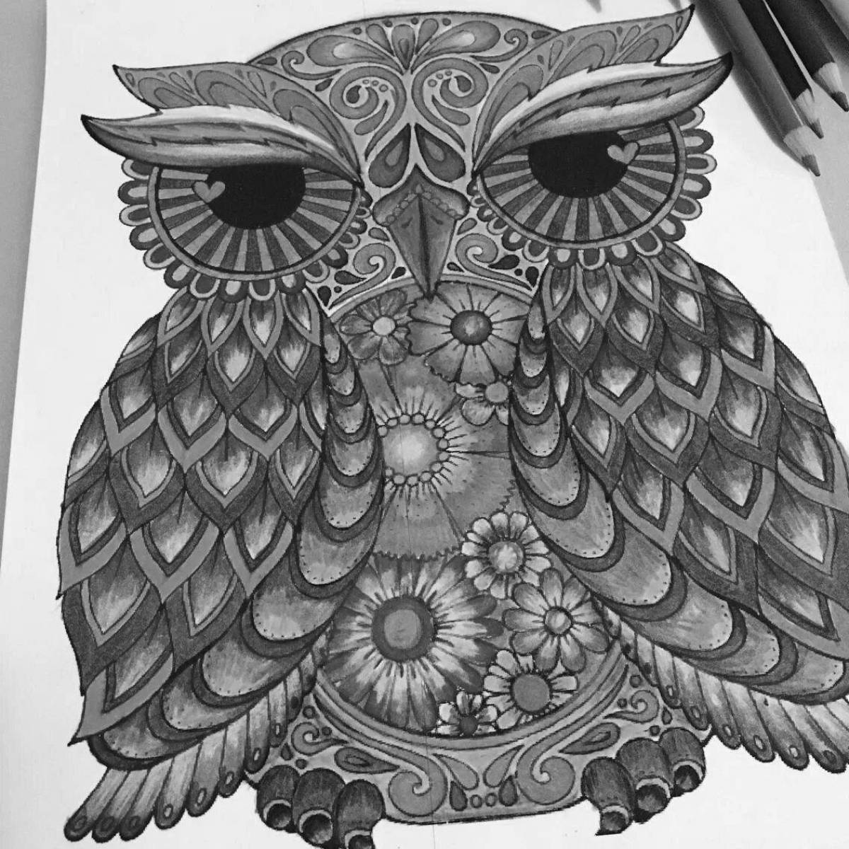 Great colored owl coloring page