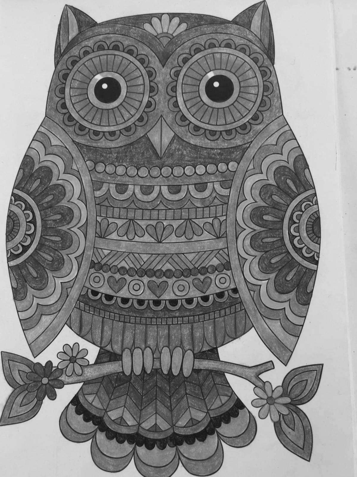 Exquisite color owl coloring page