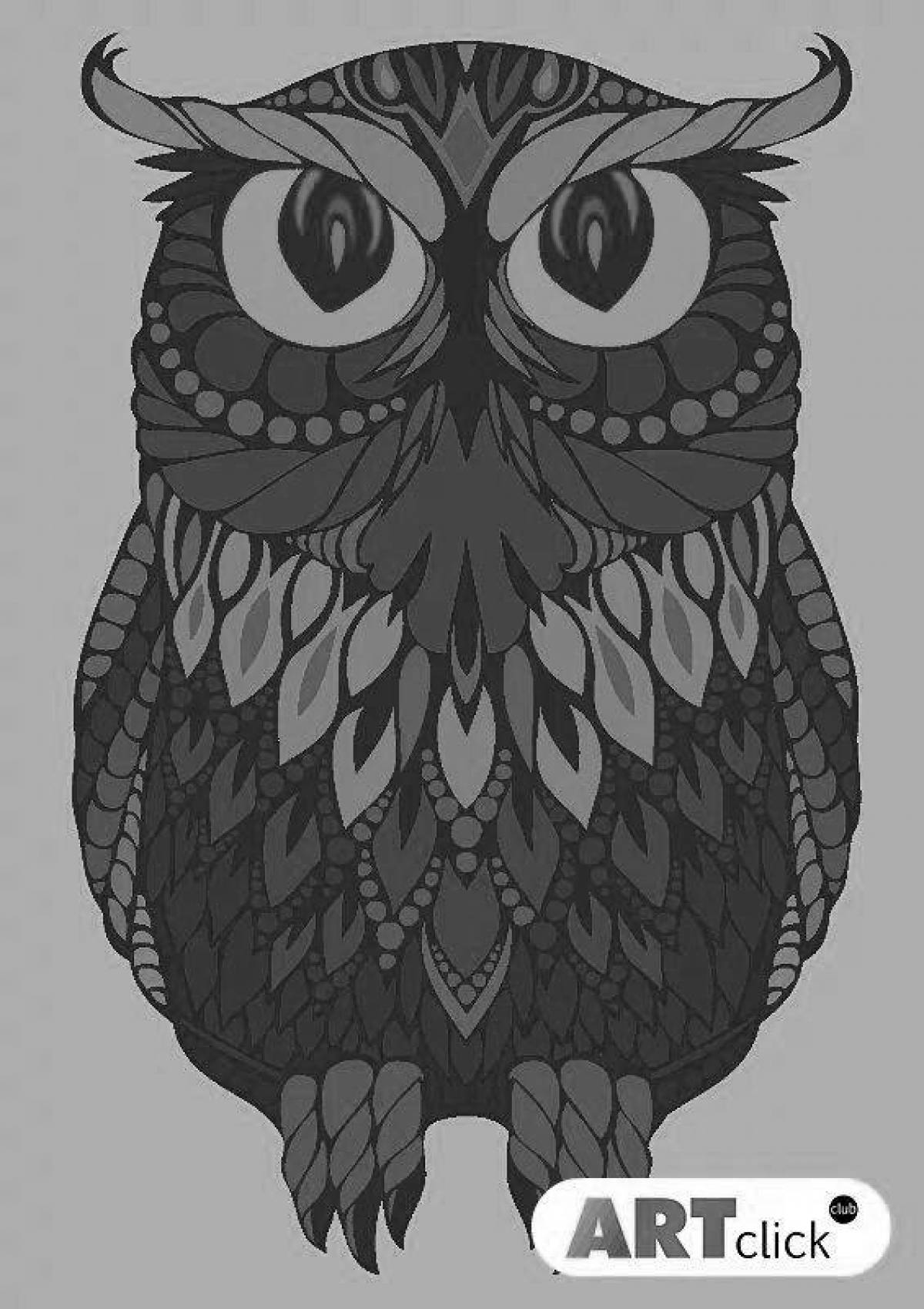 Dazzling colored owl coloring book