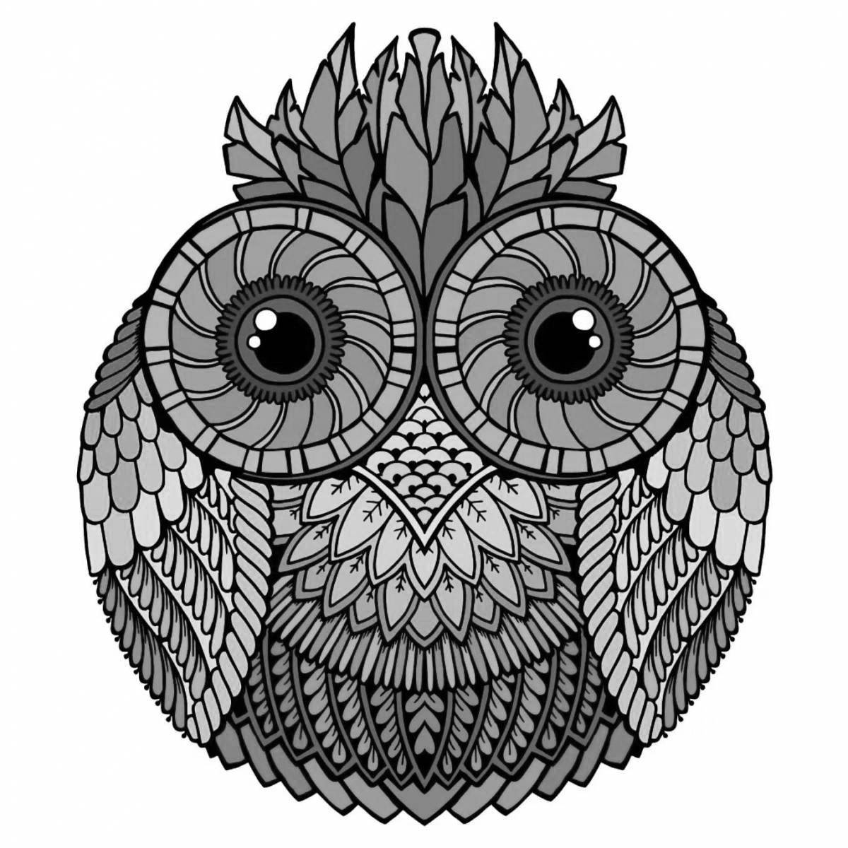 Coloring elegant colored owl