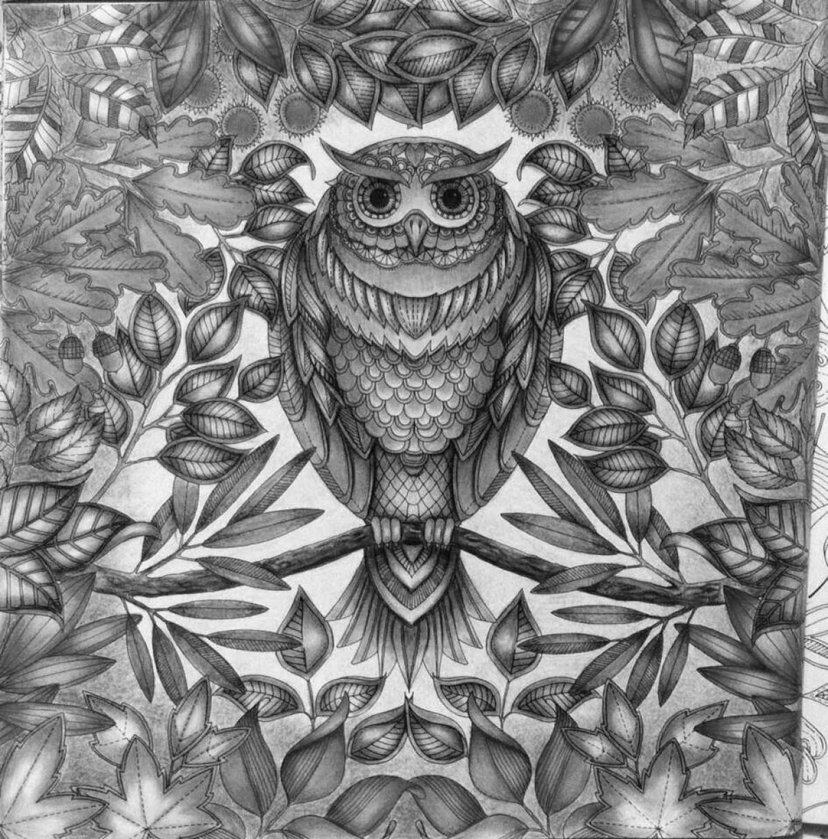 Adorable colored owl coloring page