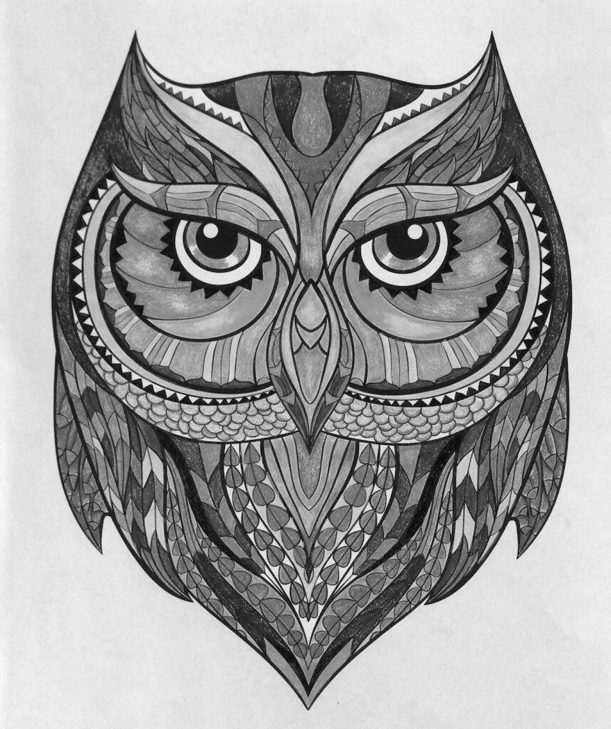 Coloring funny colored owl