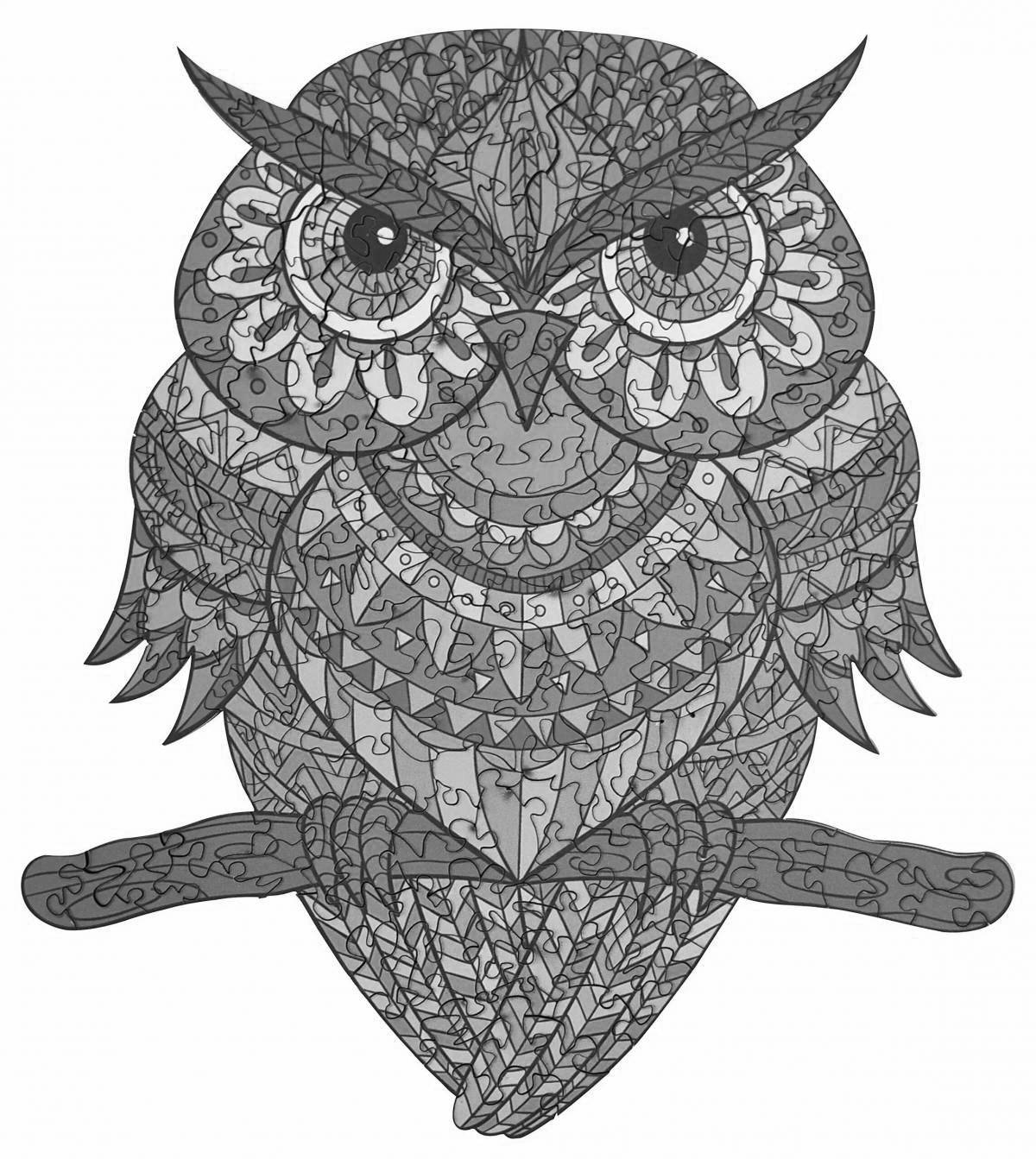 Colorful owl coloring page