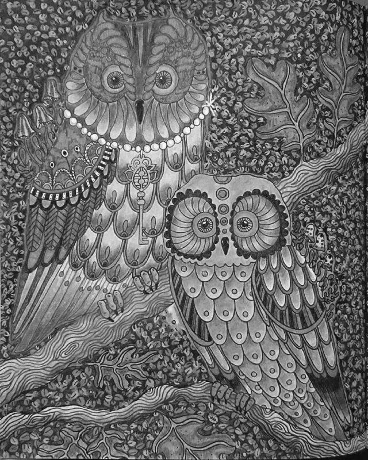 Brightly colored owl coloring page