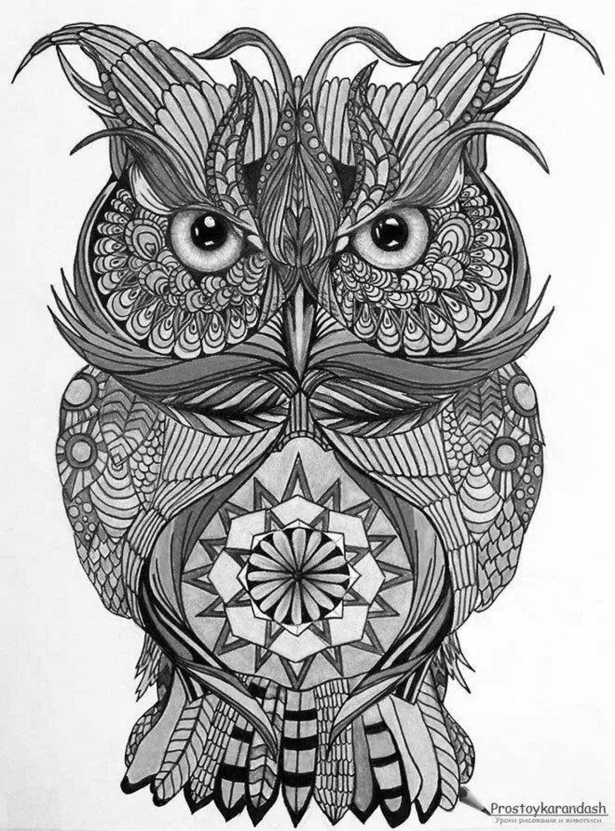 Amazingly colored owl coloring page