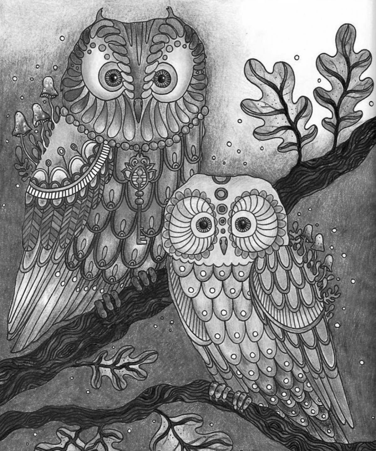Elegantly colored owl coloring page