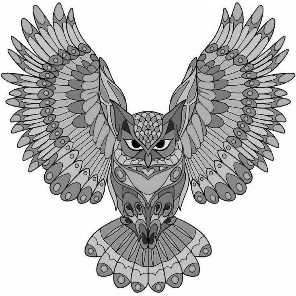 Charming owl coloring book