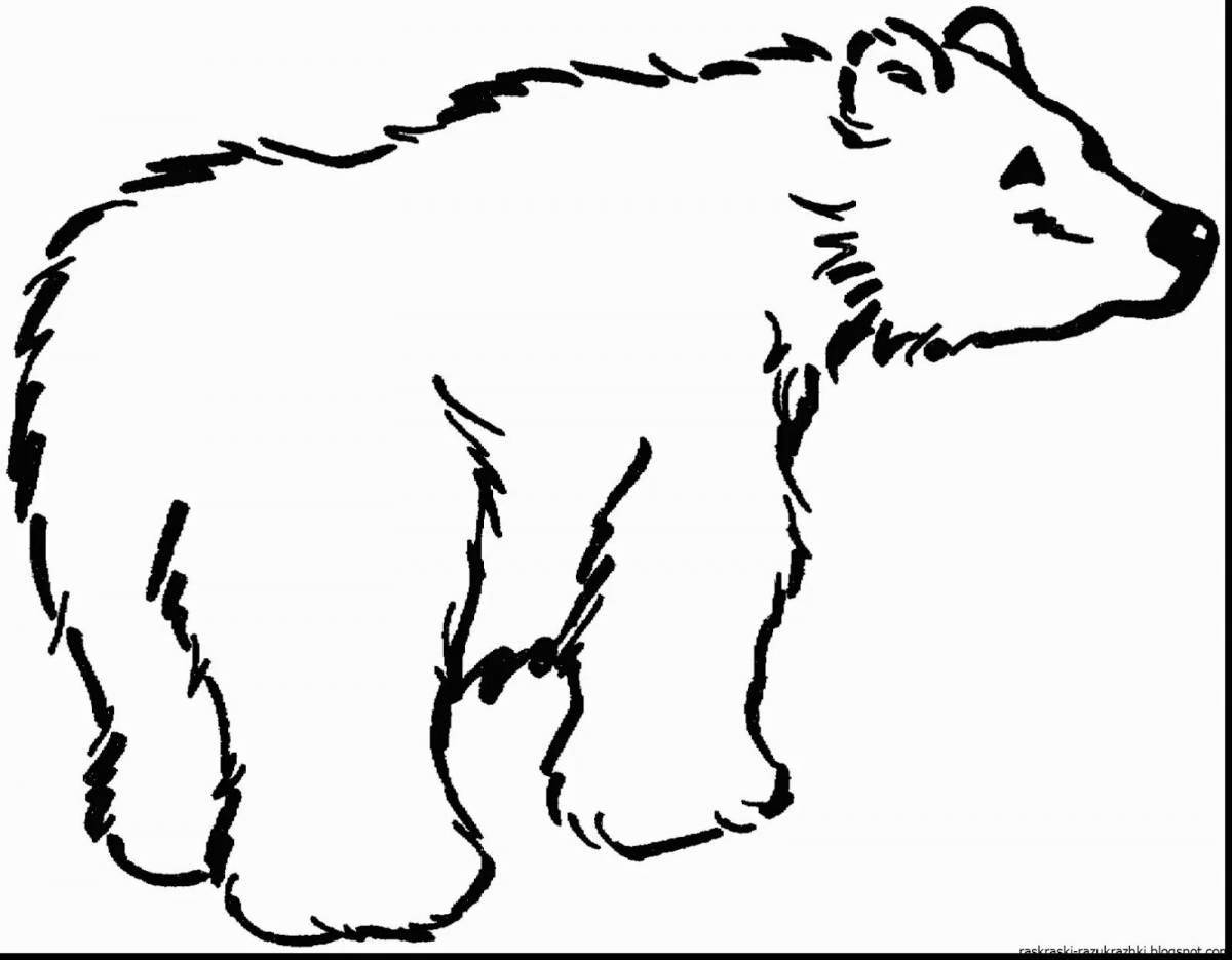 Очаровательная раскраска бурого медведя для детей