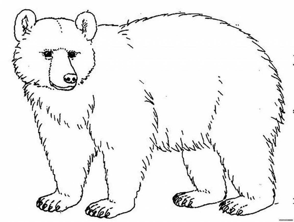Игривая страница раскраски бурого медведя для детей