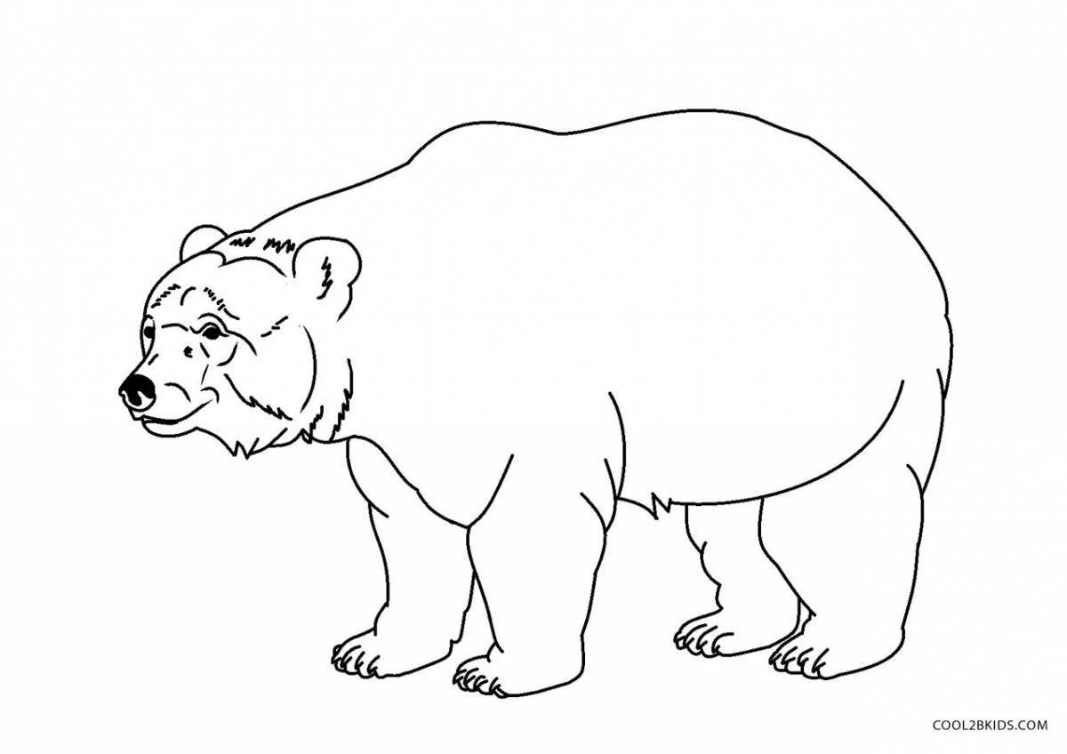 Увлекательная раскраска бурого медведя для детей
