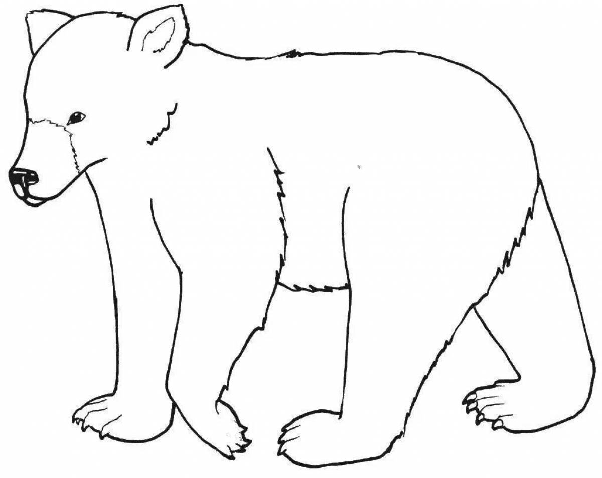 Креативная раскраска бурого медведя для детей
