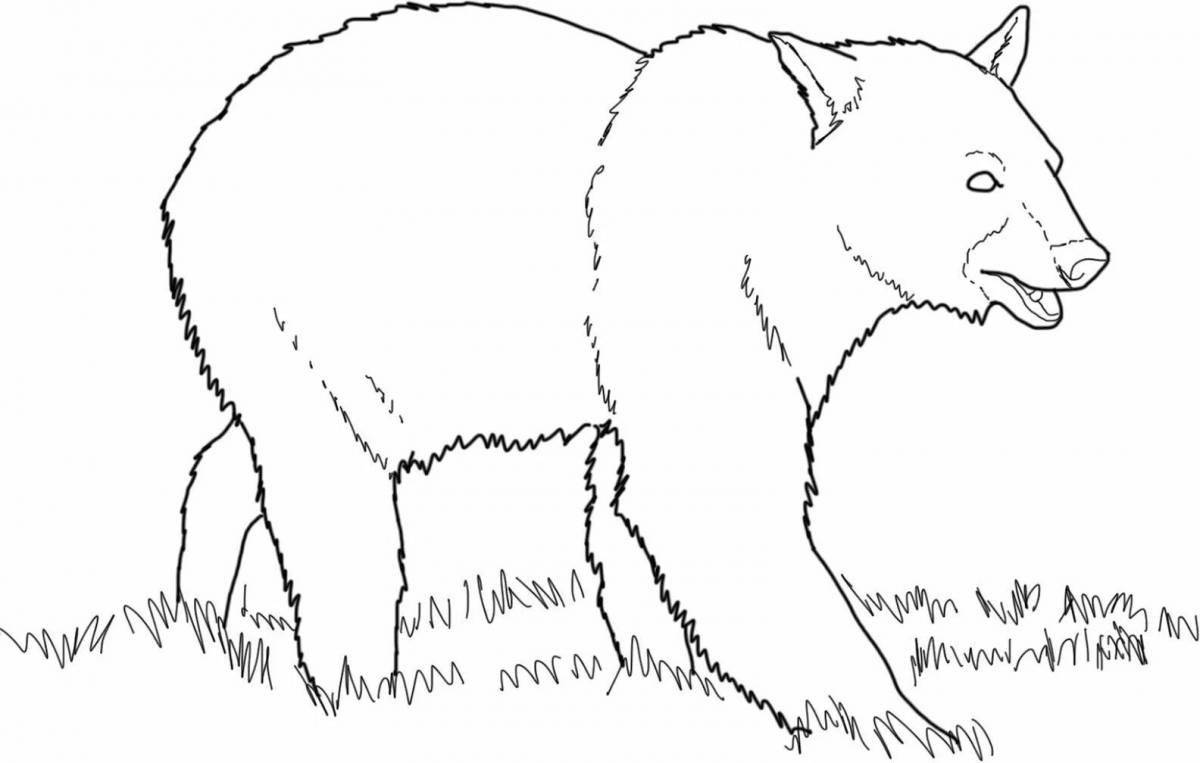 Раскраска великолепный бурый медведь для детей