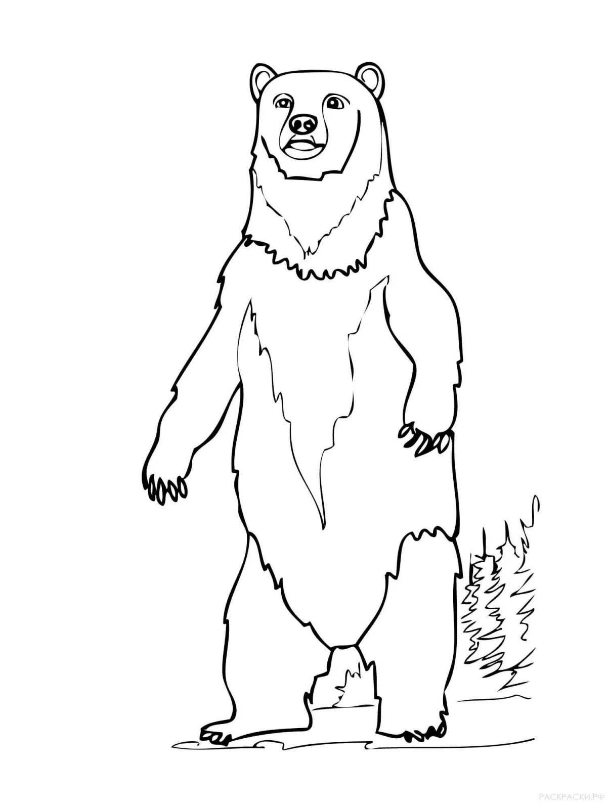 Wonderful brown bear coloring pages for kids