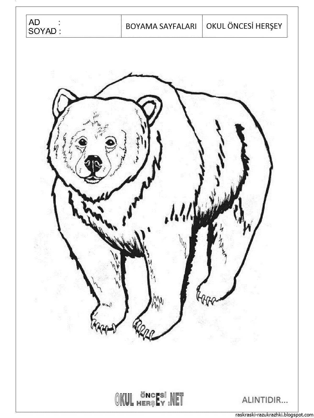 Удивительная страница раскраски бурого медведя для детей