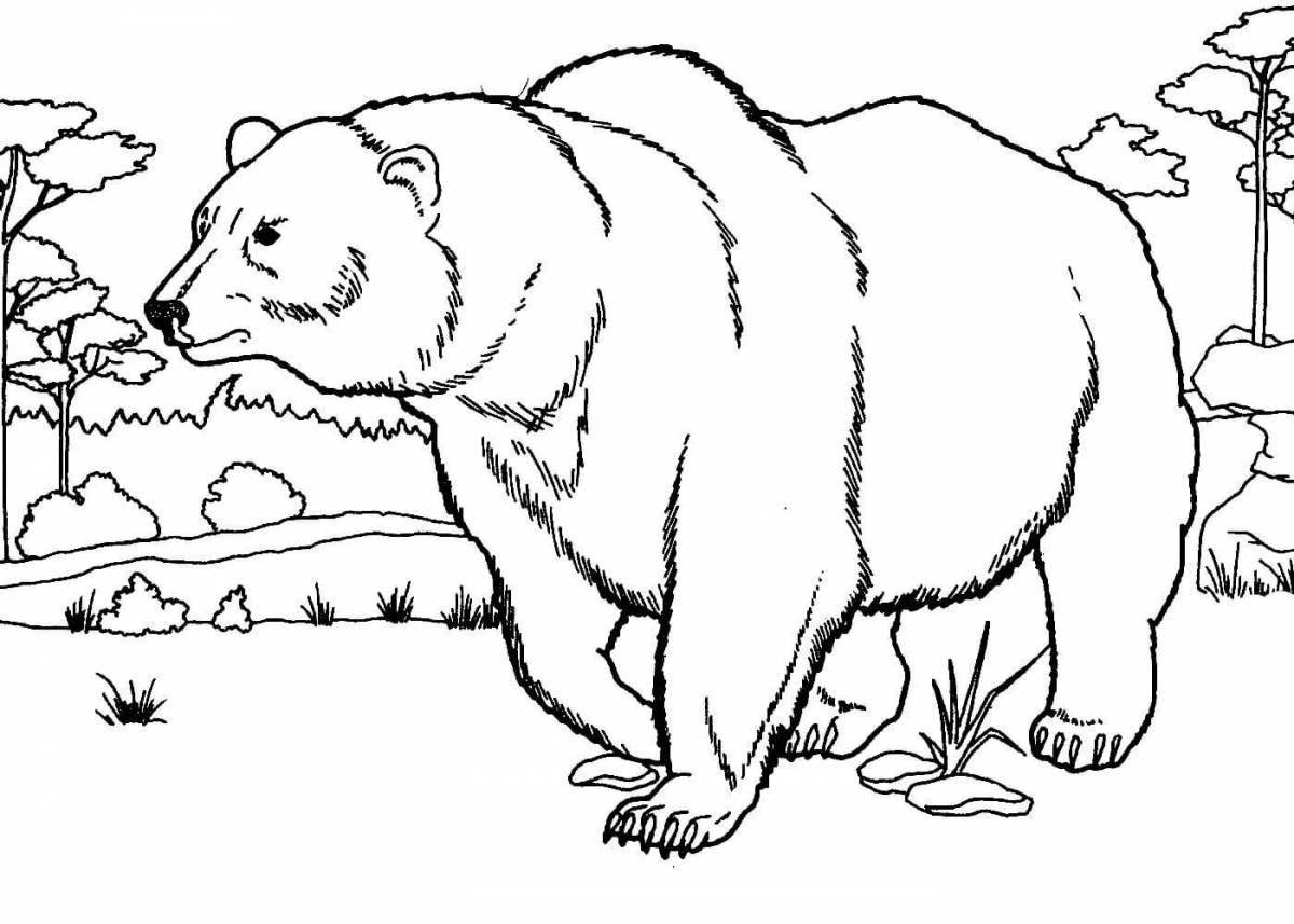 Раскраска светящийся бурый медведь для детей