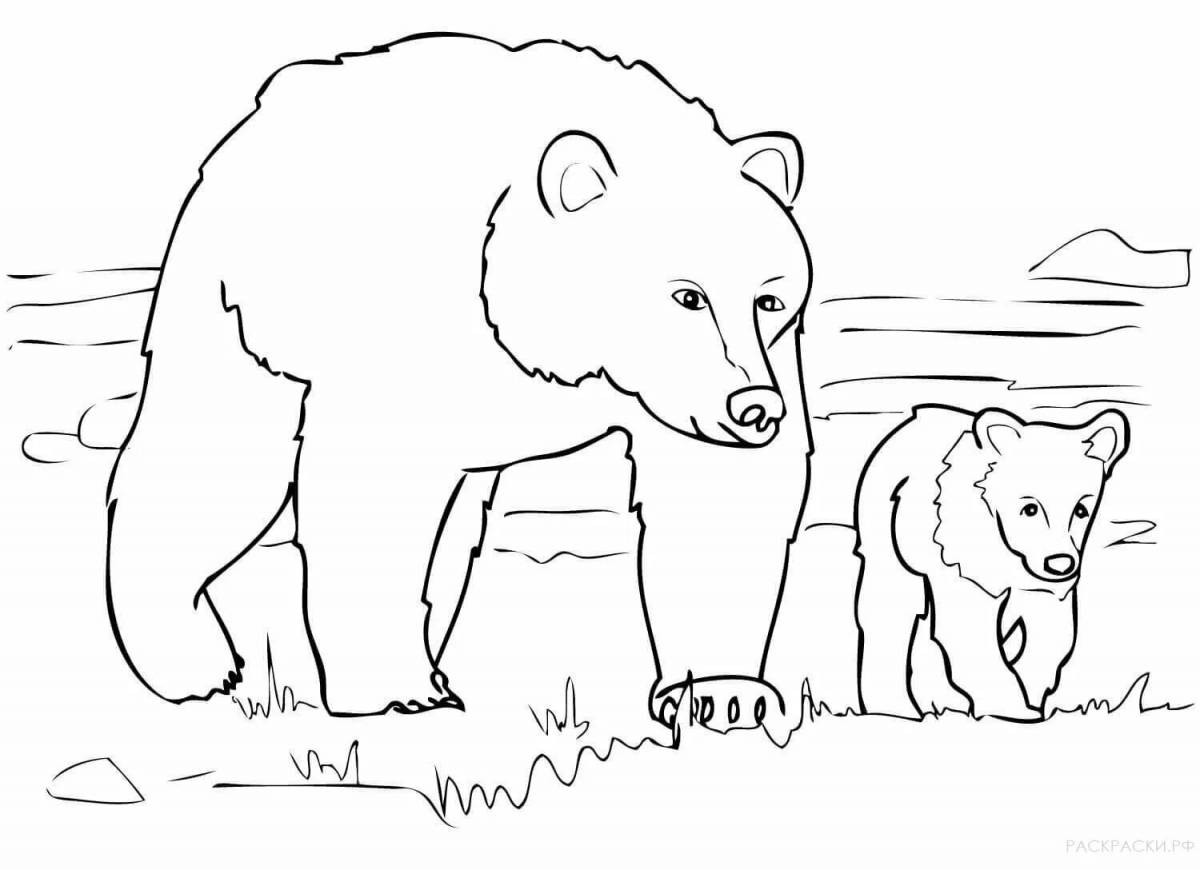 Shiny brown bear coloring pages for kids