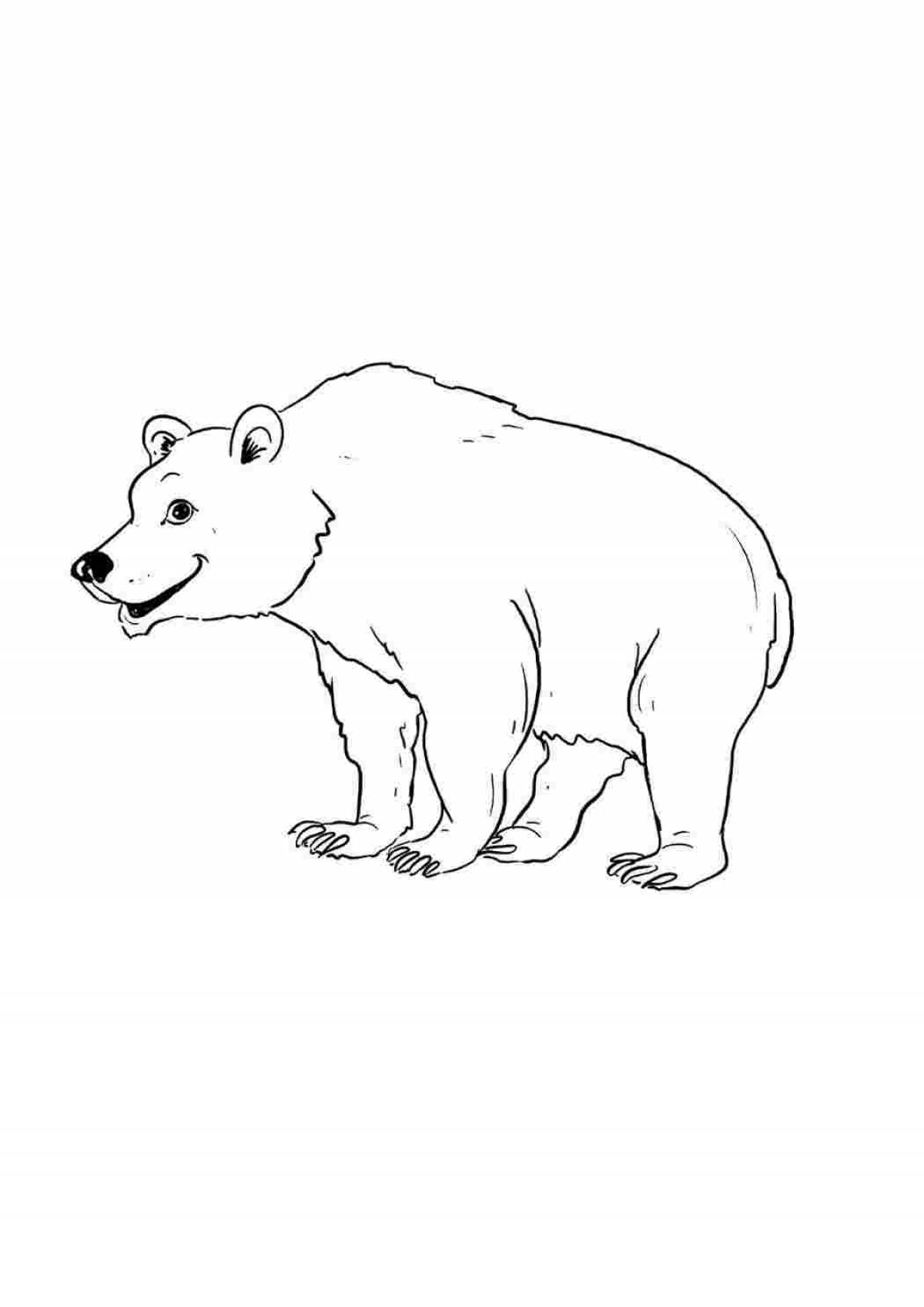 Раскраска гламурный бурый медведь для детей