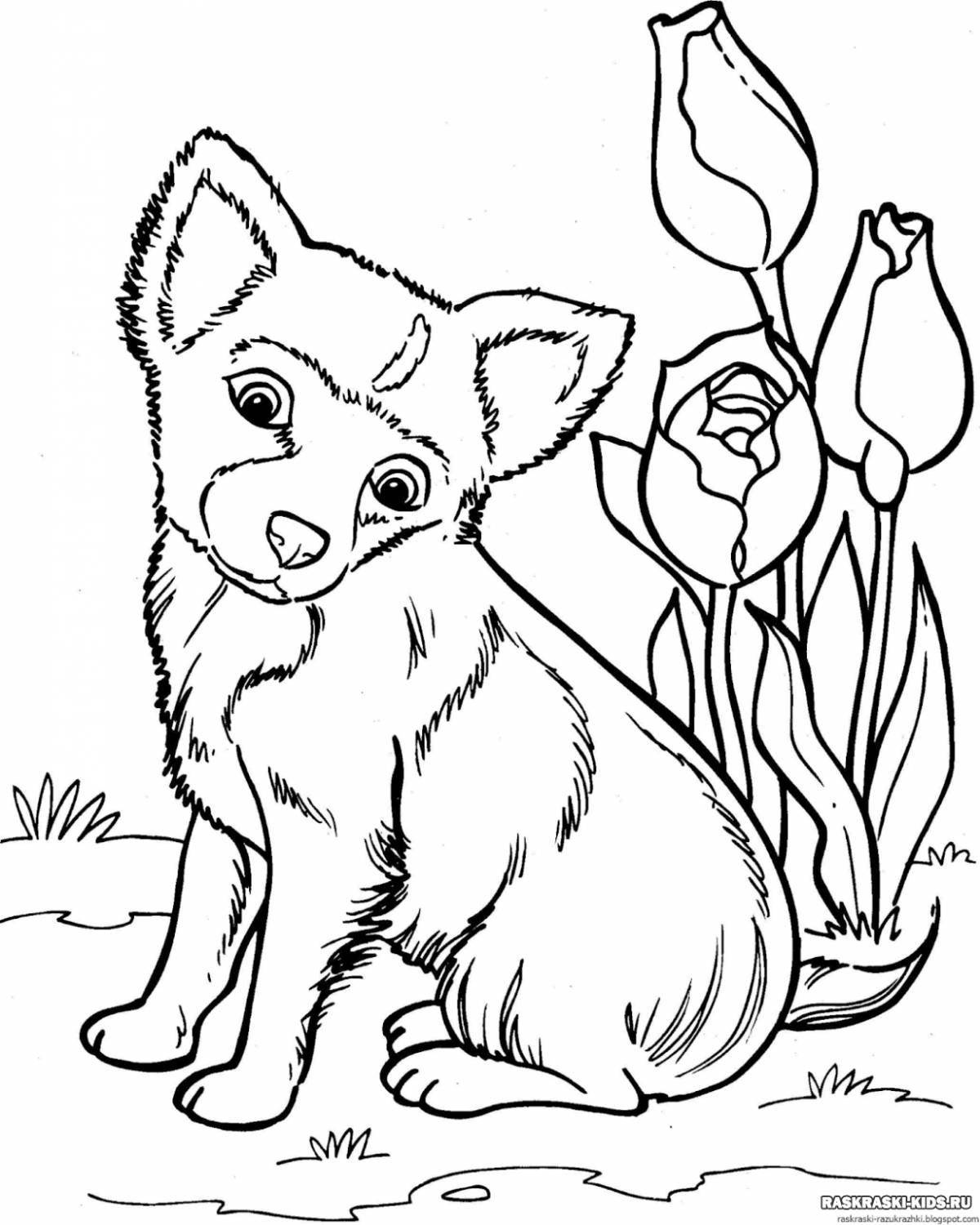 Adorable animal coloring book for girls