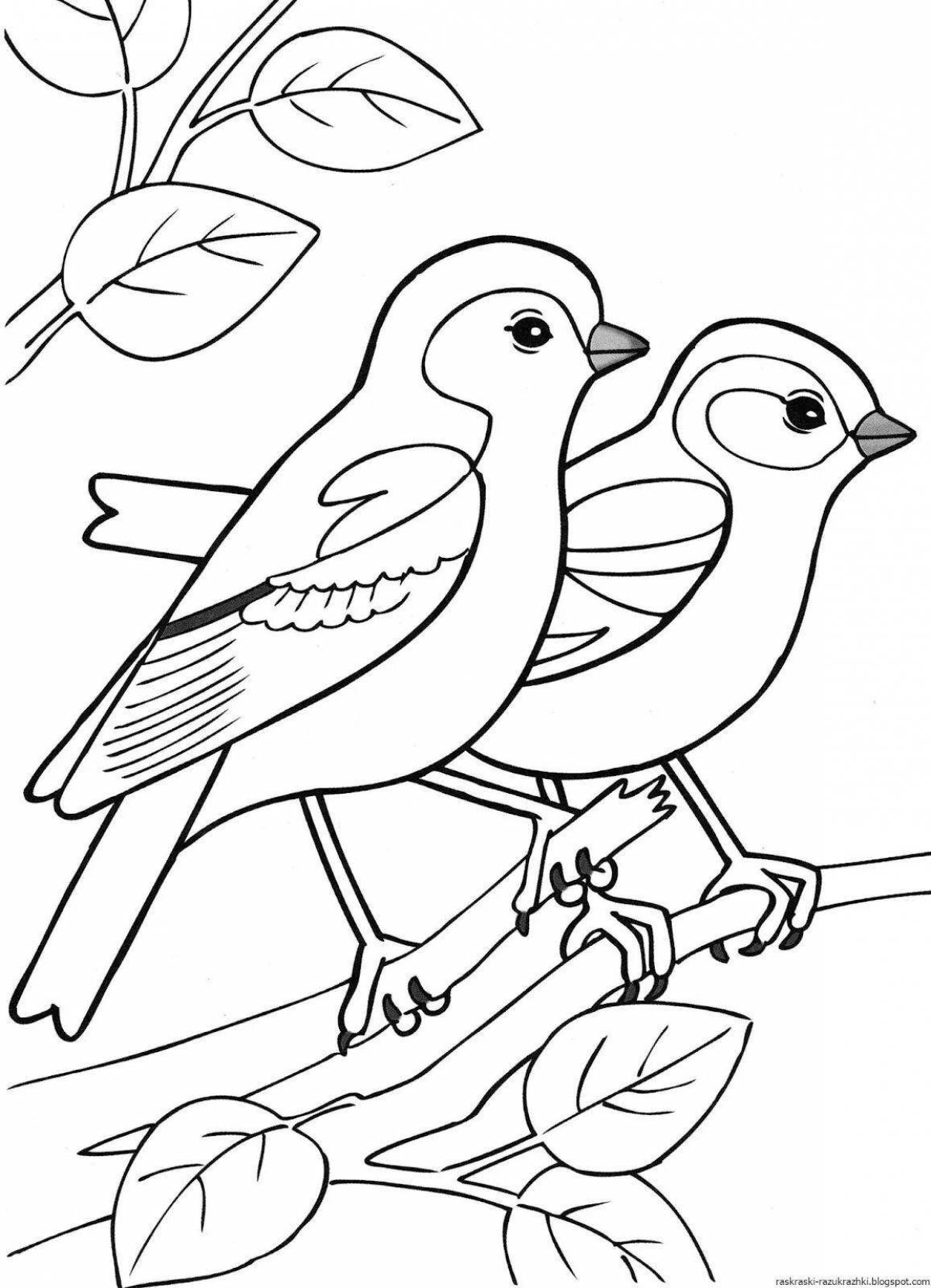 Bright migratory birds coloring pages for kids