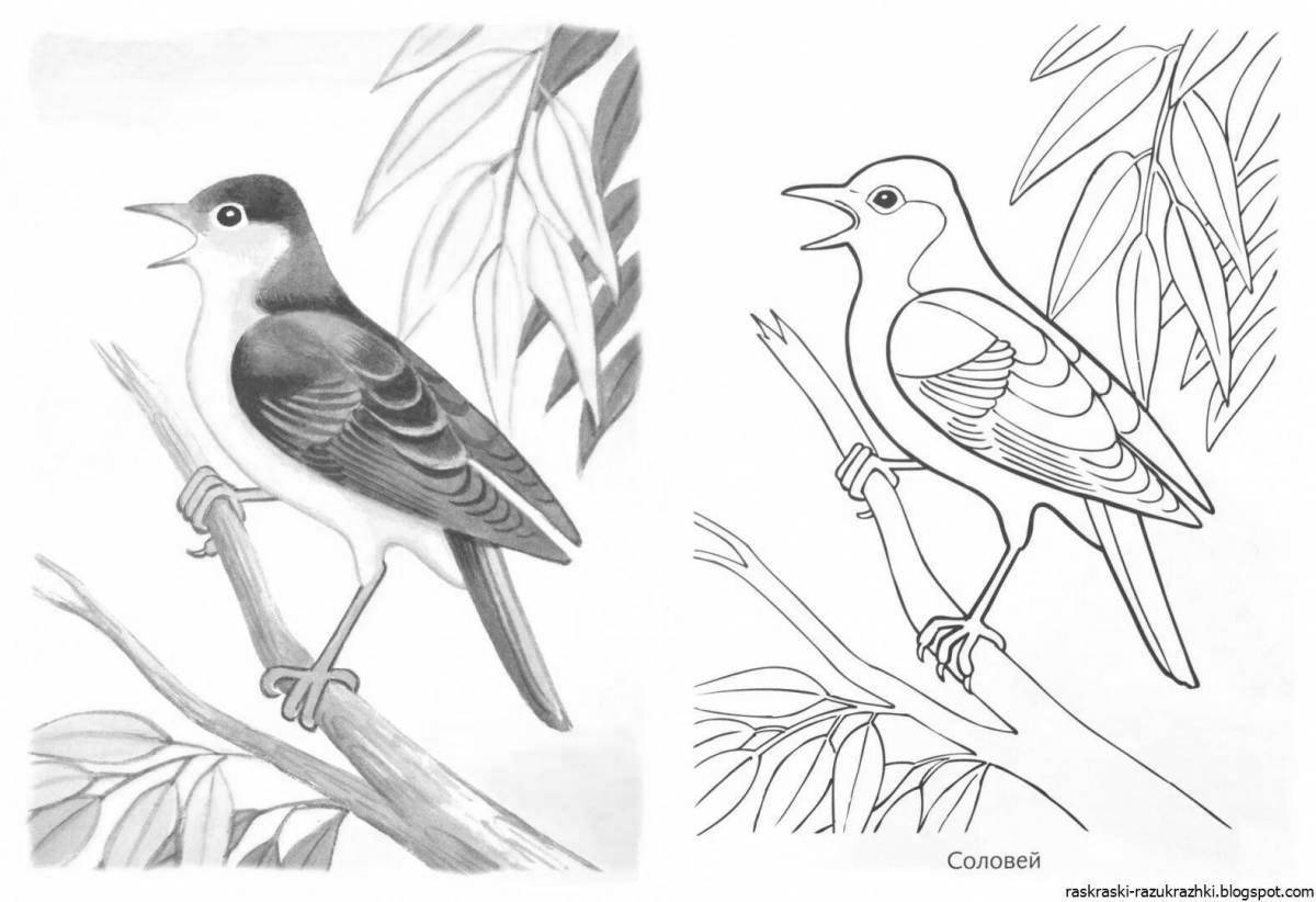 Funny migratory birds coloring pages for kids