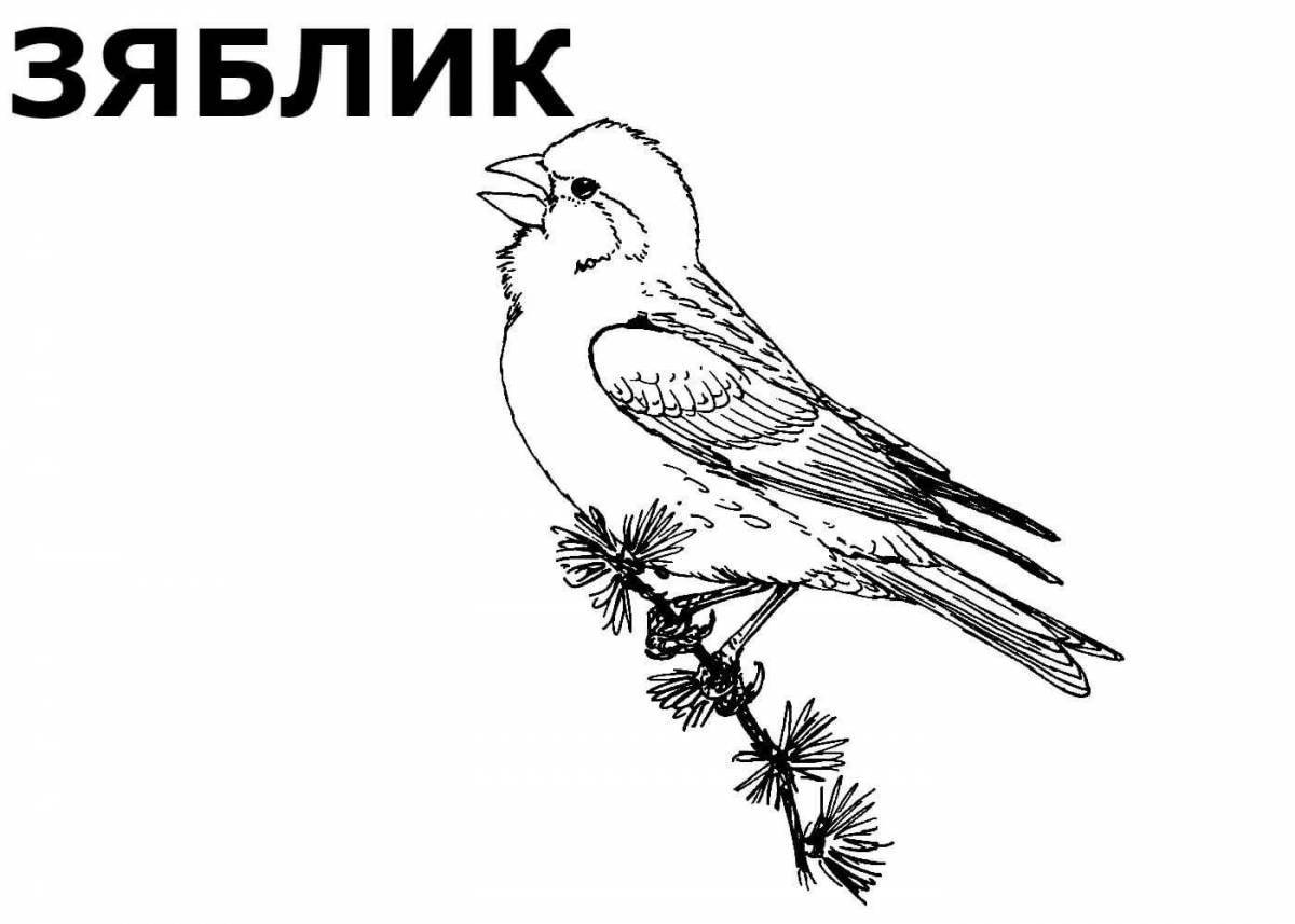 Photo Great migratory birds coloring pages for kids