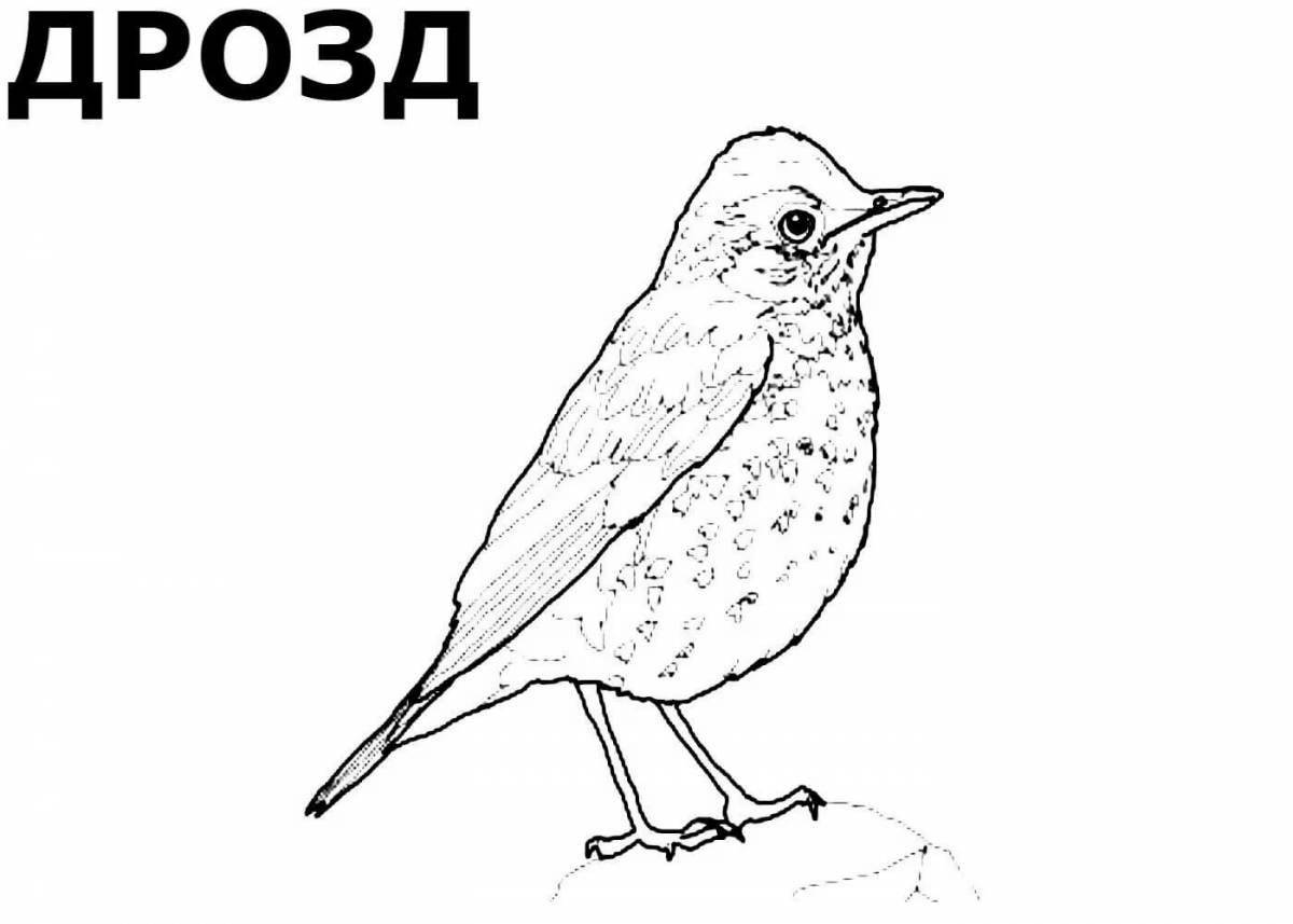 Glorious migratory birds coloring pages for children