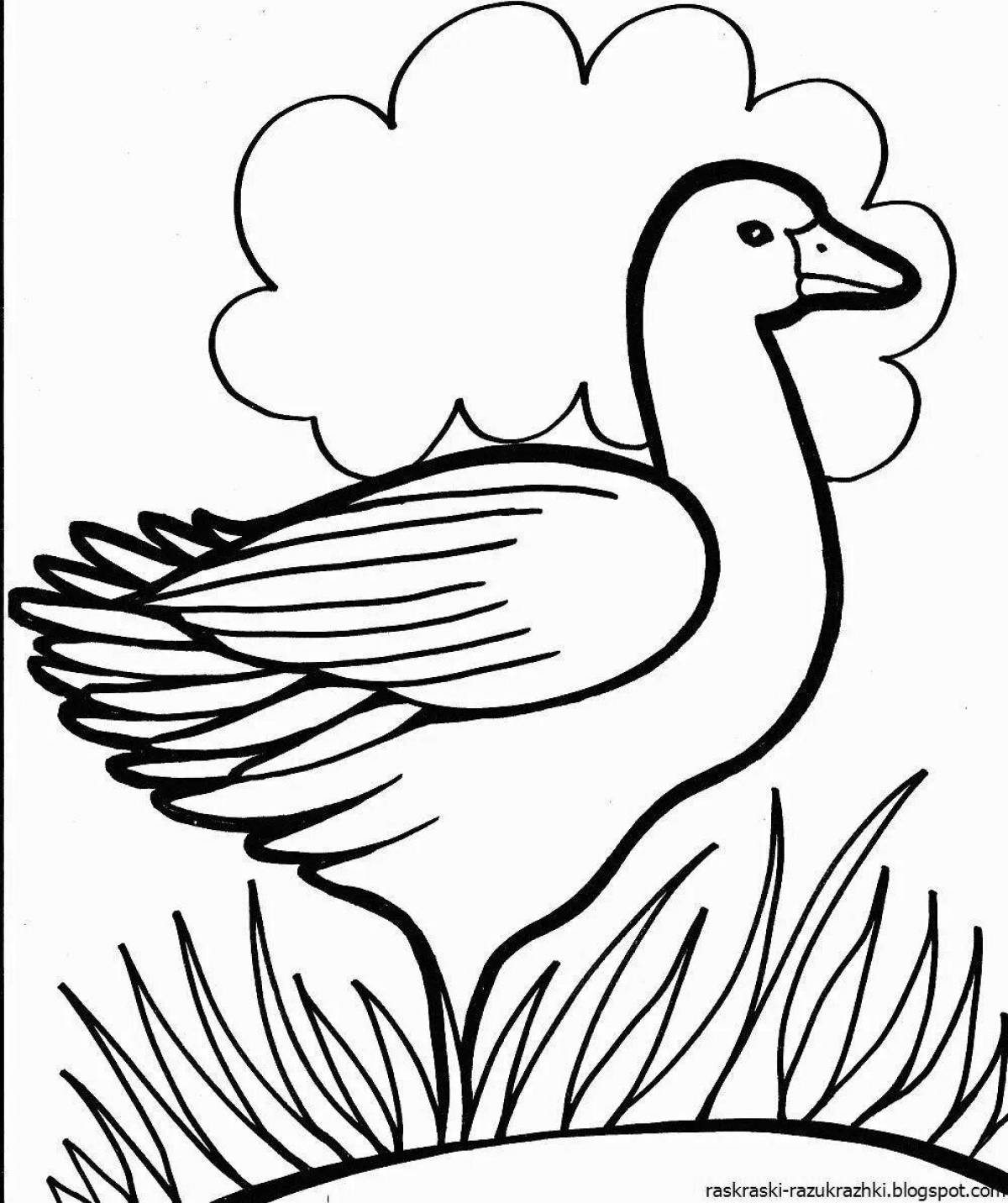 Photo Fabulous coloring pages of migratory birds for kids