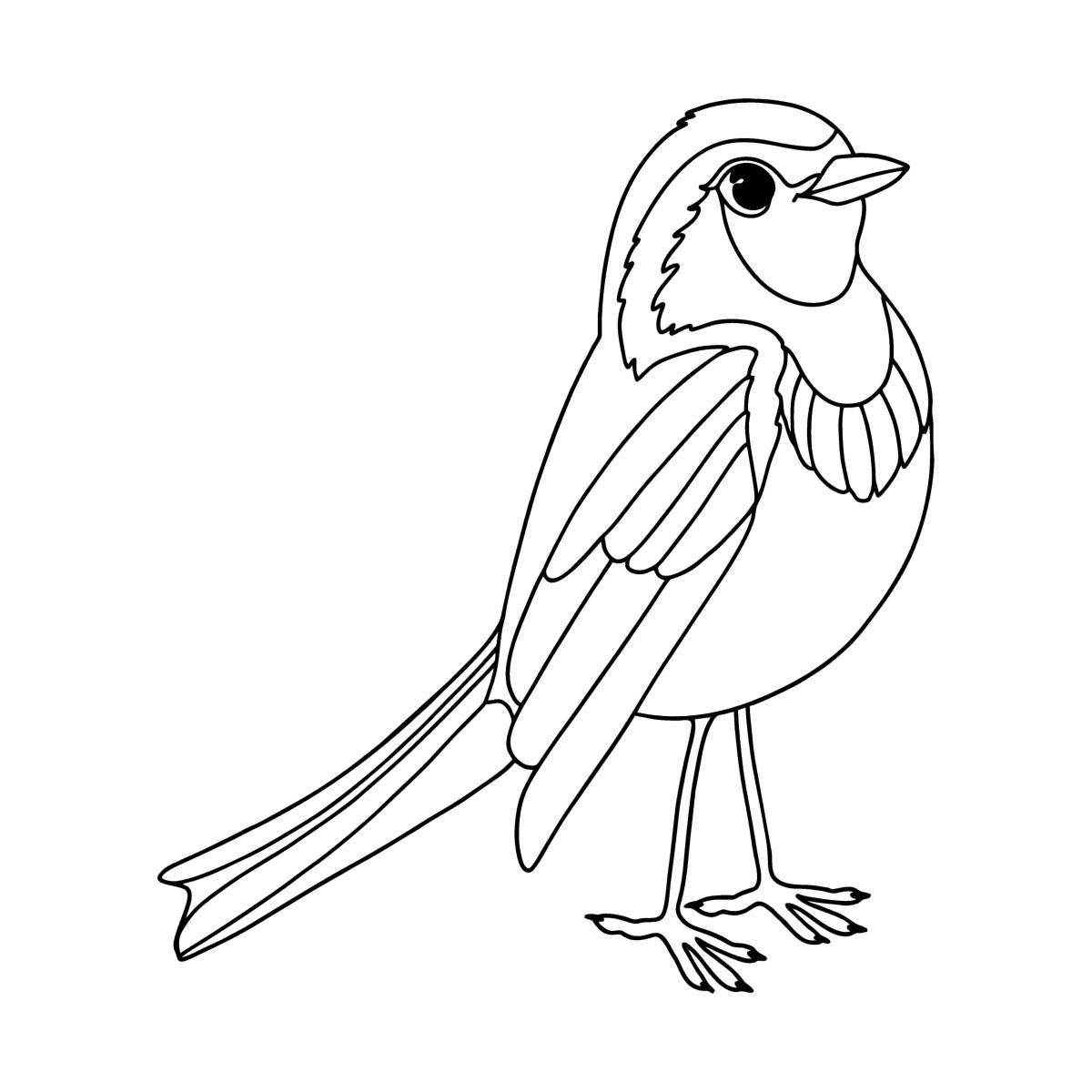 Colorful bird coloring page for 5-6 year olds