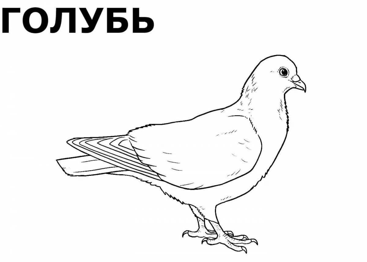 Bright bird coloring for children 5-6 years old