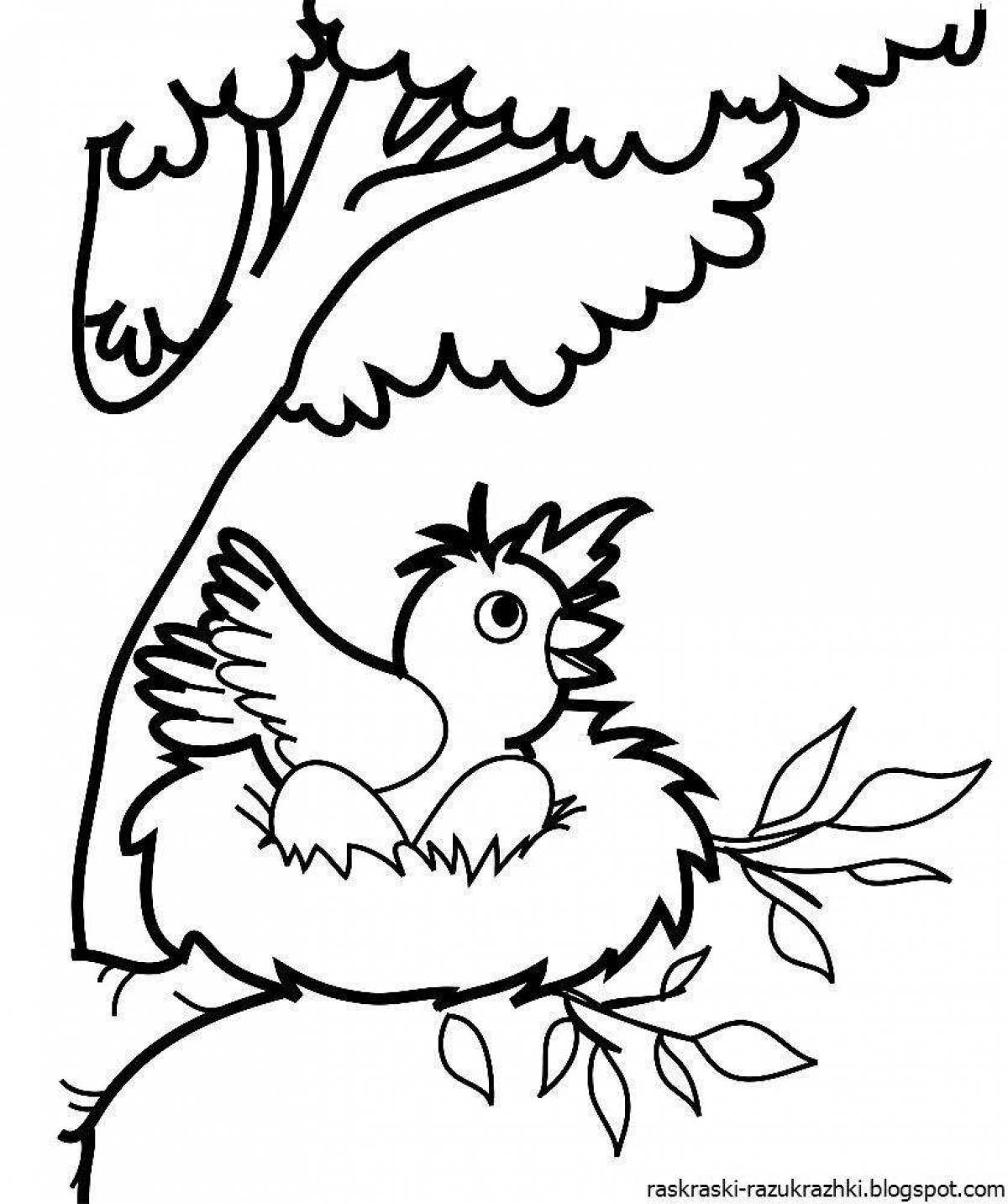 A cheerful bird coloring book for children 5-6 years old