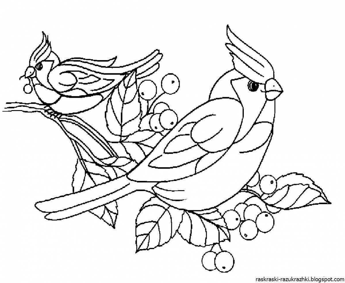 Fun coloring book with birds for children 5-6 years old