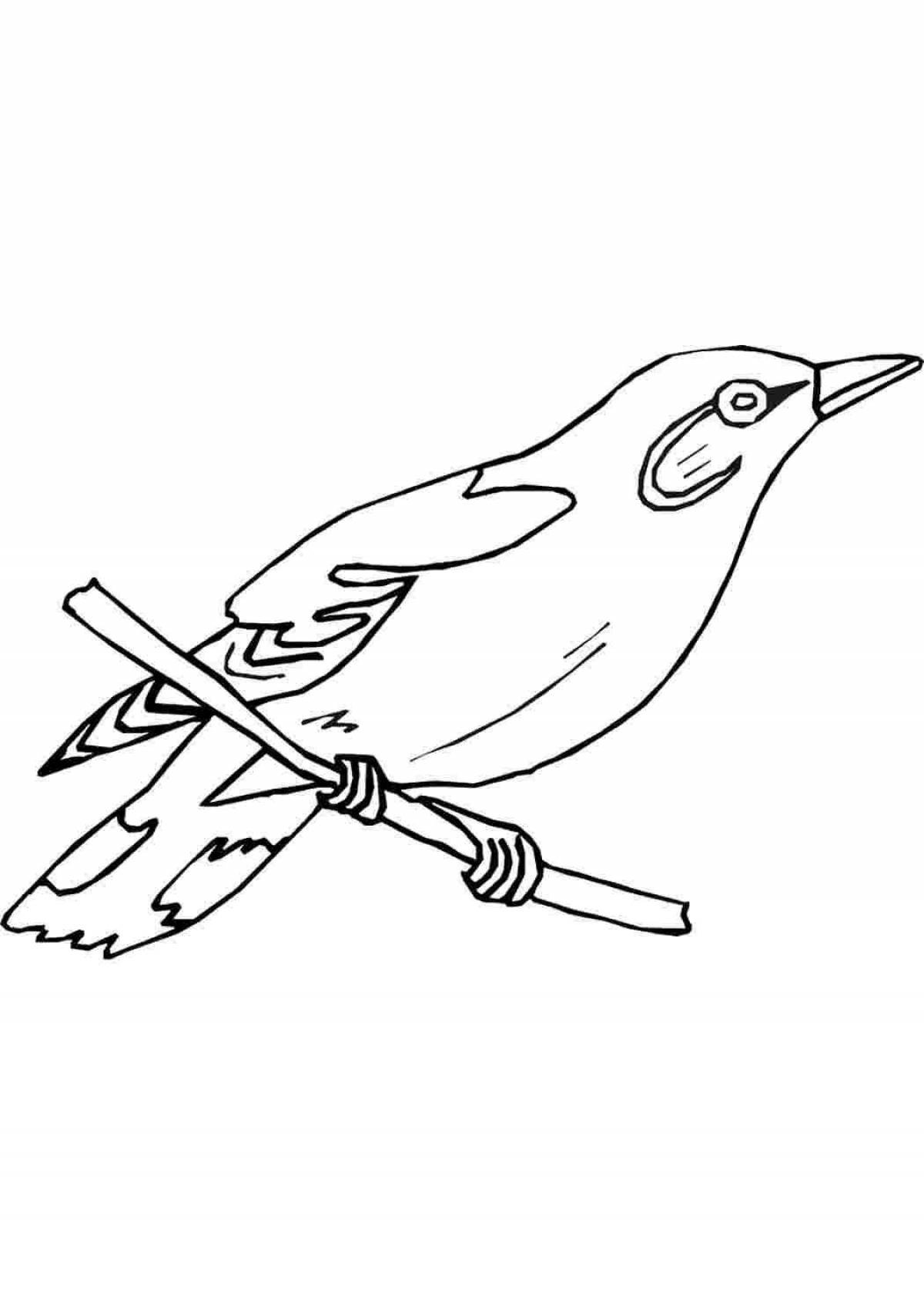 Очаровательная птичка-раскраска для детей 5-6 лет