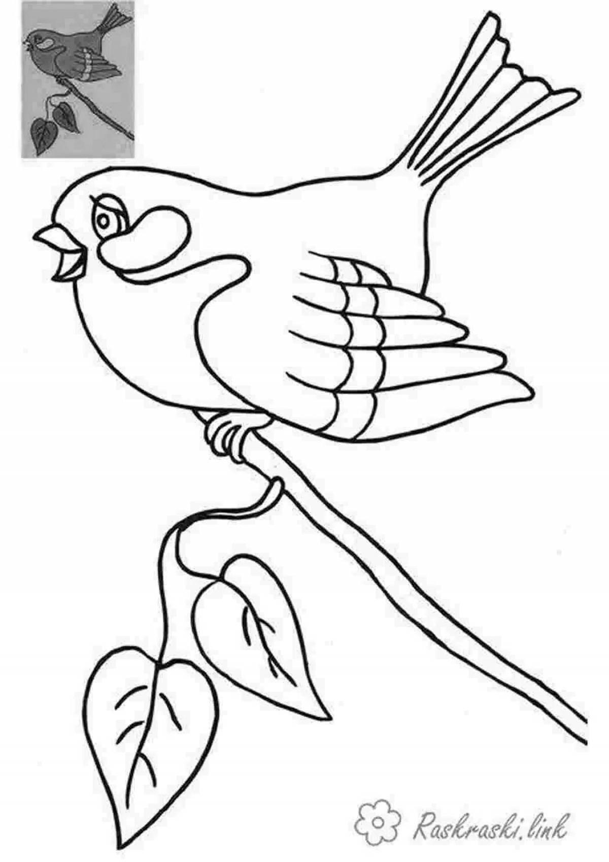 Удивительная страница раскраски птиц для детей 5-6 лет