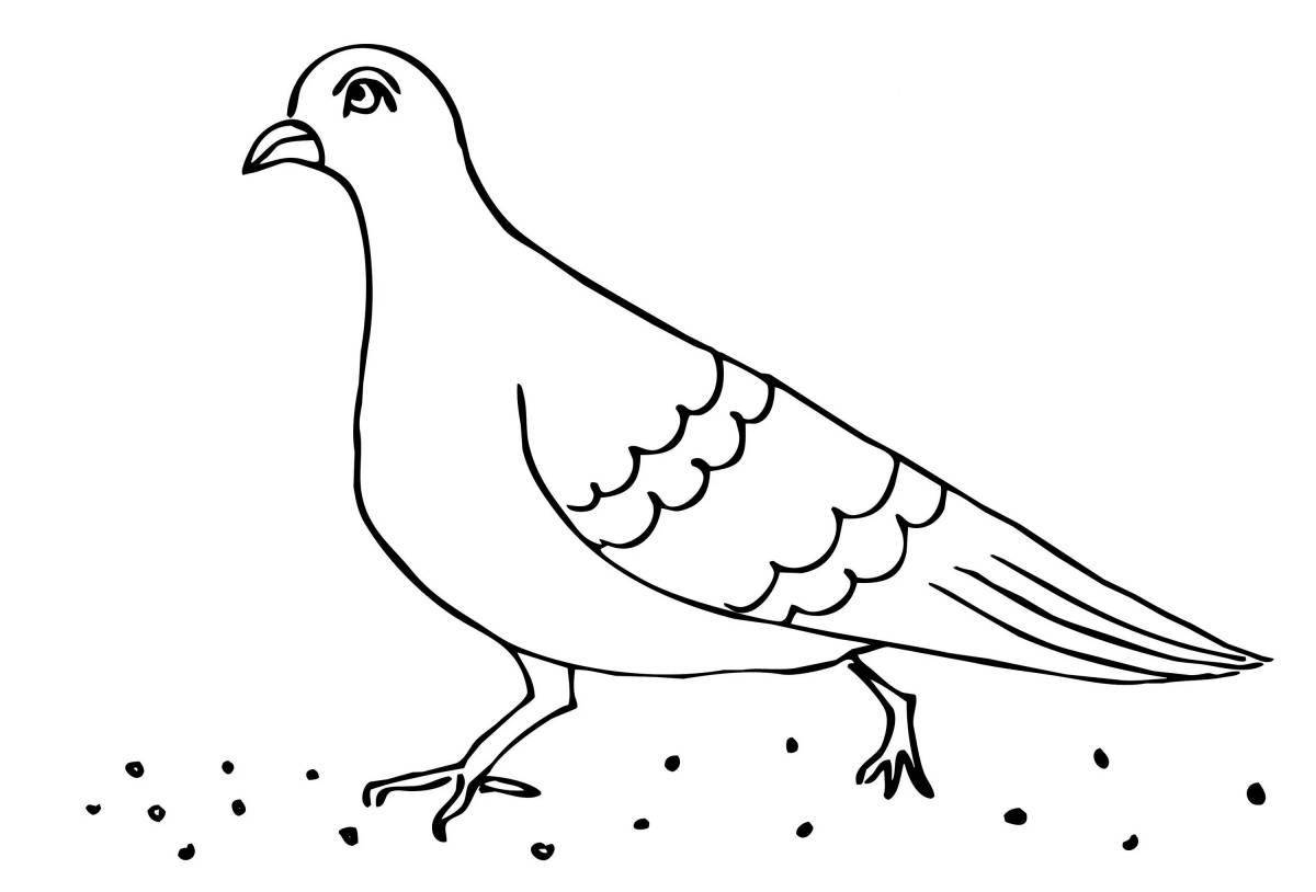 Exquisite bird coloring page for 5-6 year olds