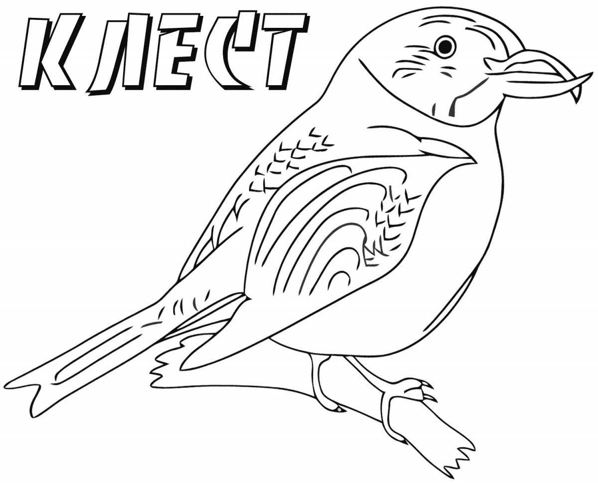 Animated bird coloring page for 5-6 year olds
