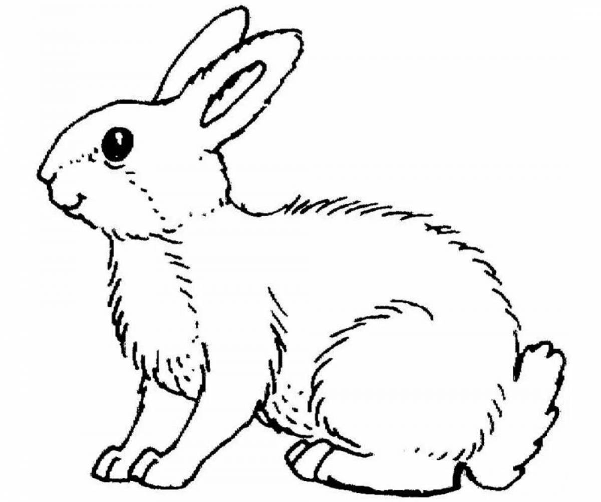 Fancy hare coloring for the little ones