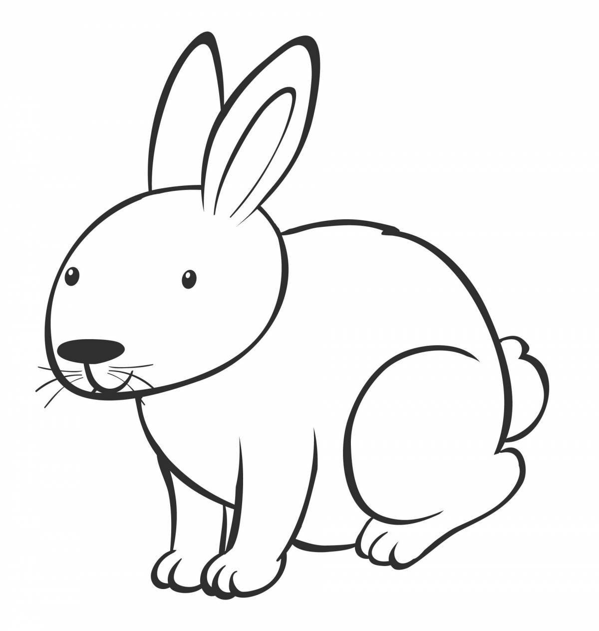 Funny rabbit coloring book for preschoolers