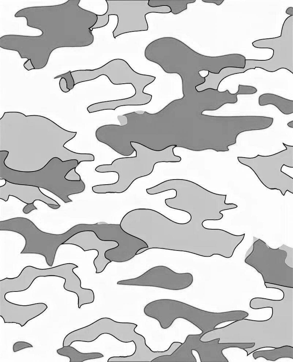 Mysterious camouflage coloring book
