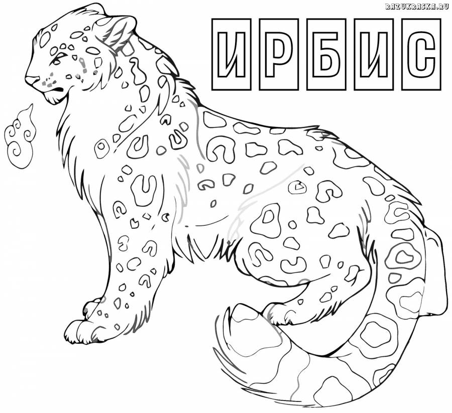 Раскраска Снежный барс на фоне гор #908994
