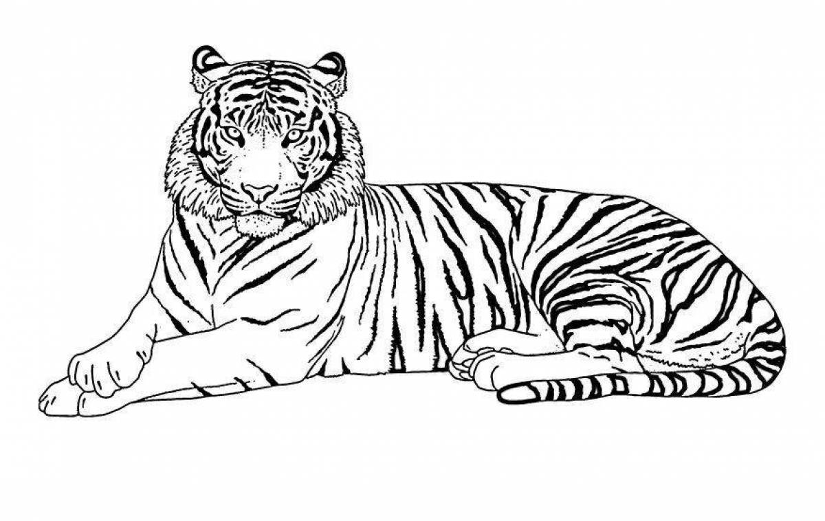 Раскраска великолепный белый тигр